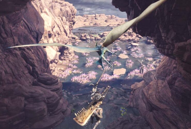 Die Schönheit von MHW