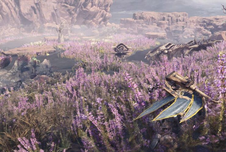 Die Schönheit von MHW
